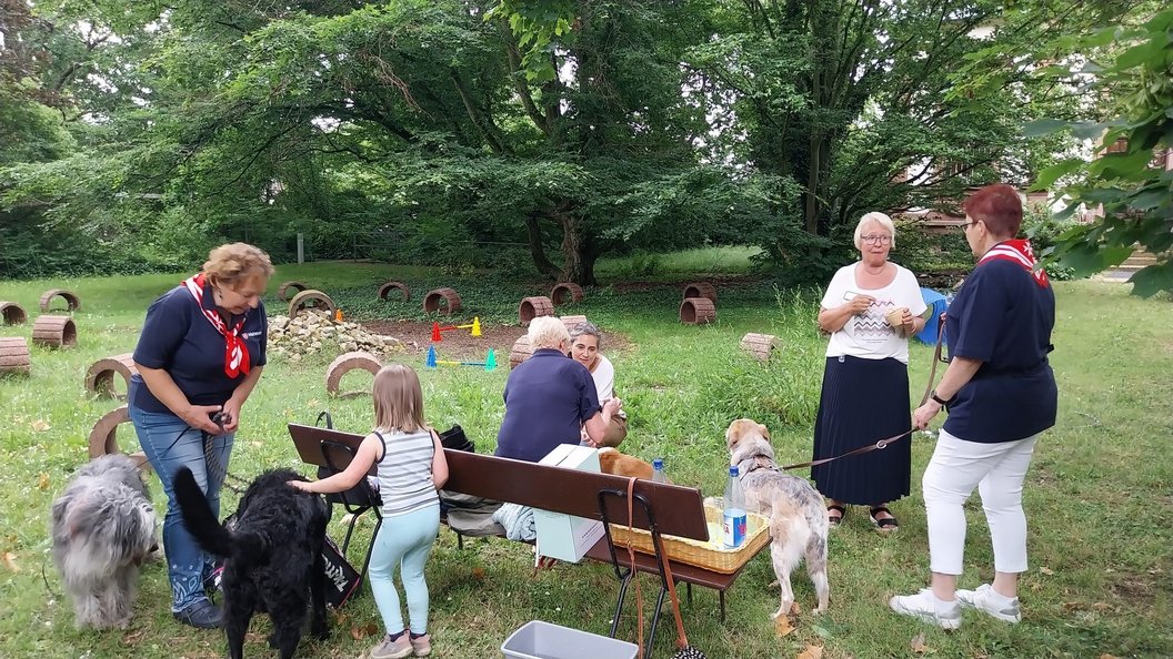 Mehrere Personen mit Hunden stehen und sitzen auf einer Wiese mit Bänken und Hundespielzeug, umgeben von Bäumen.