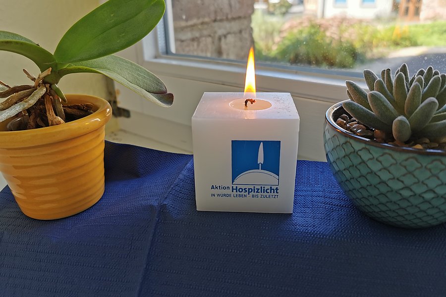 Brennende weiße Kerze mit Aufkleber 'Aktion Hospizlicht' zwischen zwei Topfpflanzen auf blauem Tuch vor Fenster