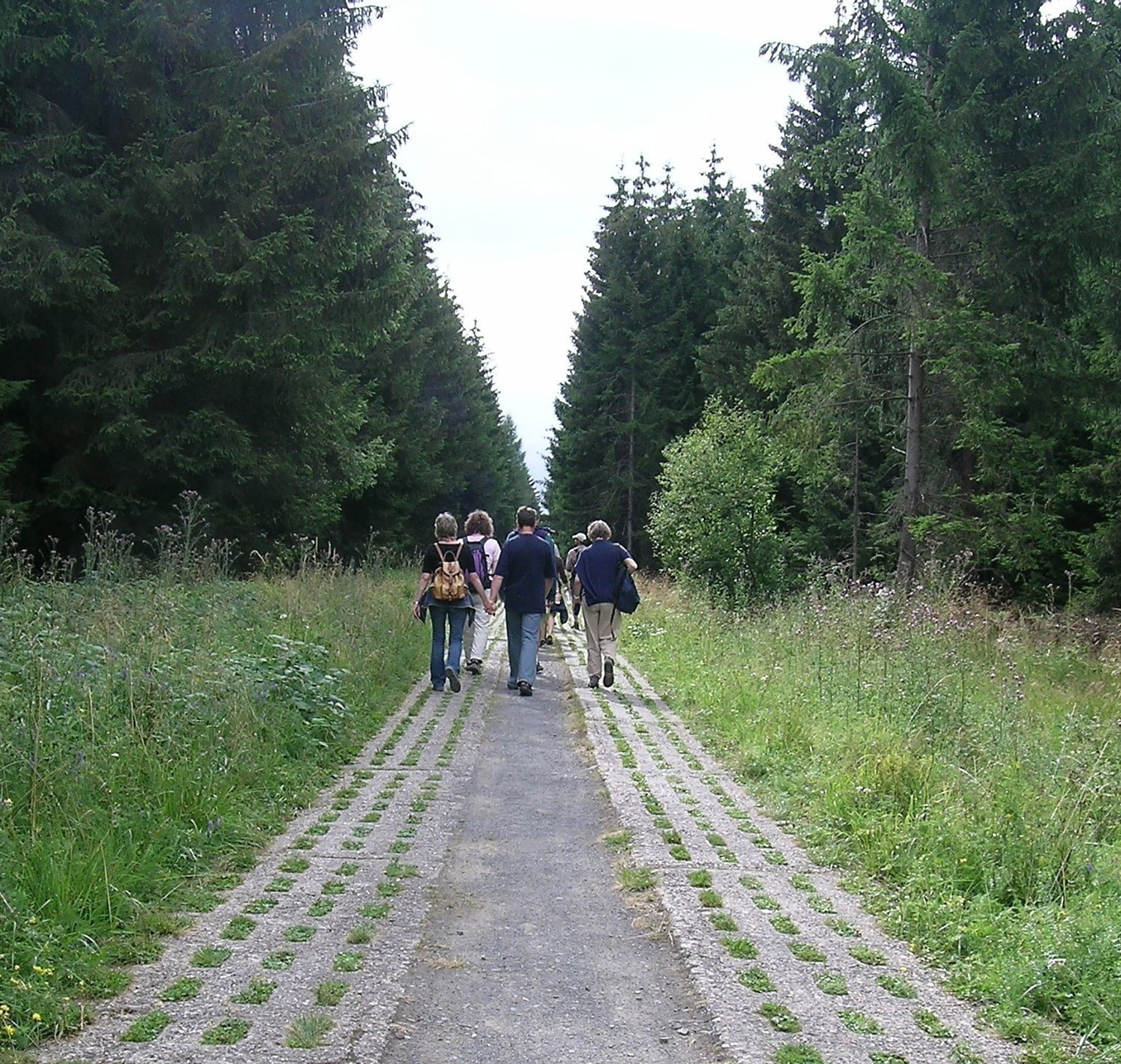 Bild der Marienhaus-Gruppe